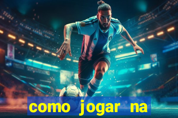 como jogar na lotinha do jogo do bicho